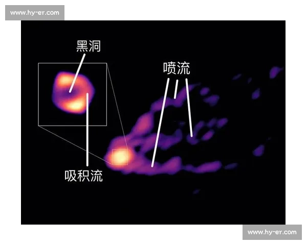 84vs46背后的数据对决与趋势解析全景观察深度报告与启示解读